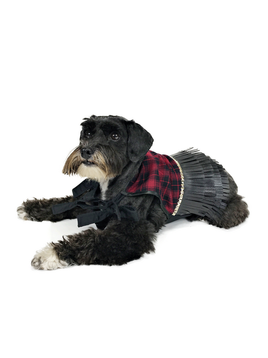 Black dog lying down wearing red tartan punk-style dog dress with black fringed hem, metallic-look trim and fabric ties
