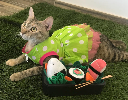 Handmade Sushi Bento Cat Toy Set with Catnip
