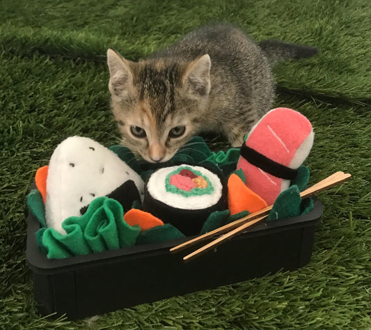 Handmade Sushi Bento Cat Toy Set with Catnip