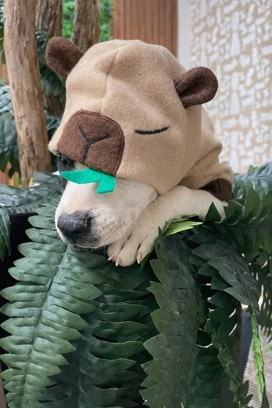 Handmade capybara dog hoodie – product photo 2