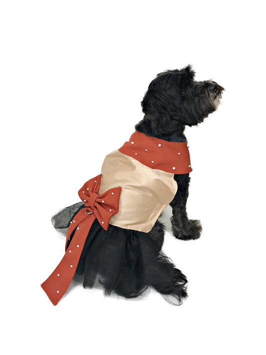 Black dog wearing handmade champagne-cream dog dress with rust-red long bow, pearl-like embellishments and black tulle skirt