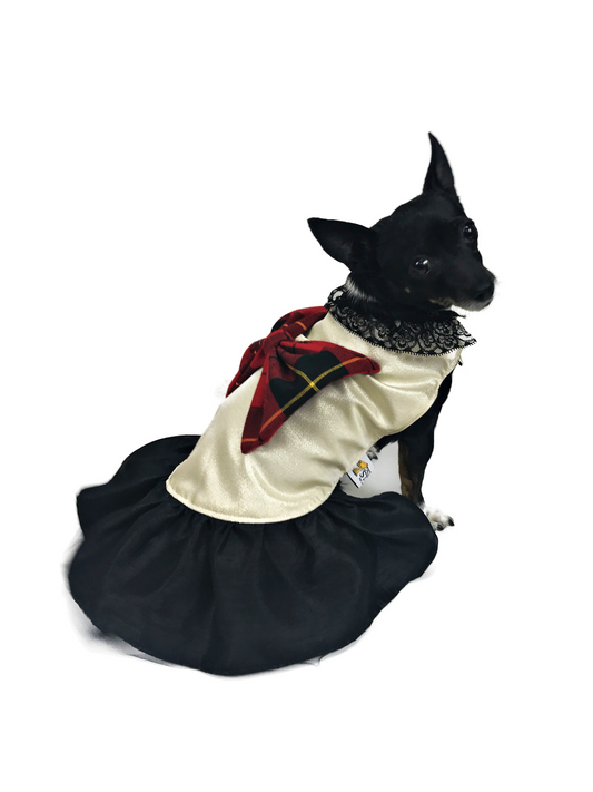Small black dog modeling Tartan Couture dog dress with ivory bodice, black lace collar, large tartan bow and gathered black skirt