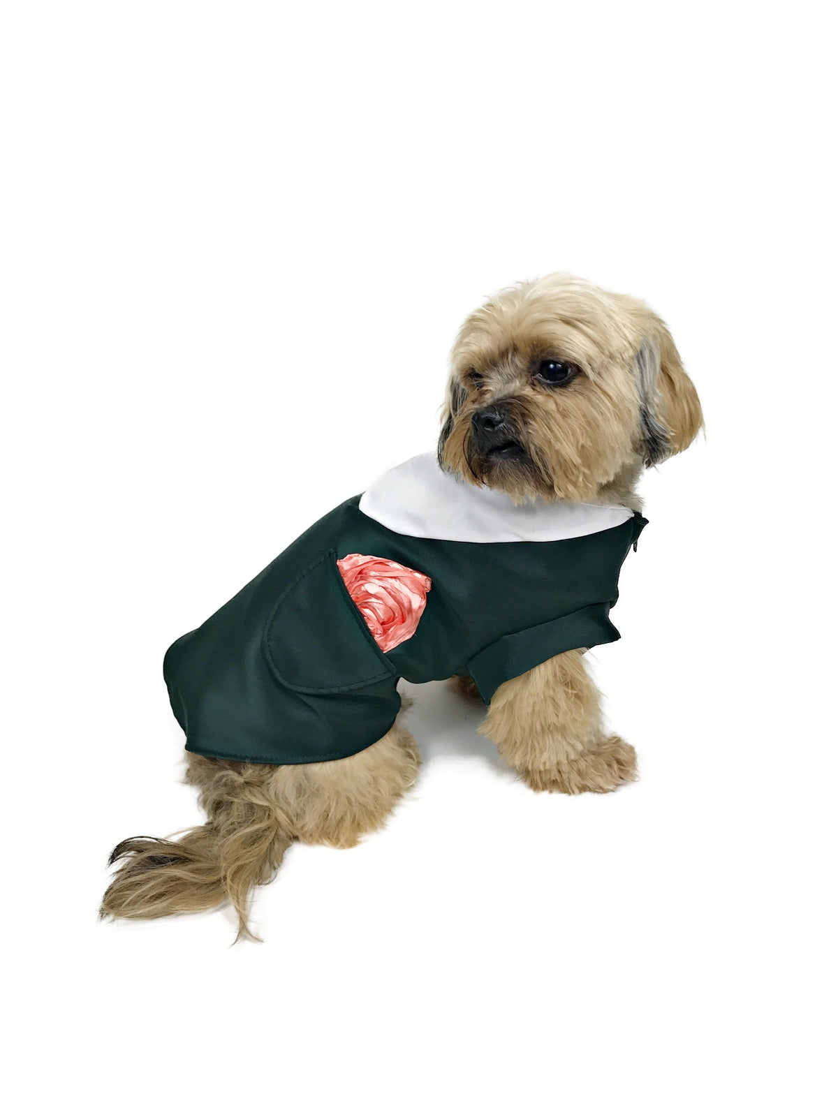 Small tan dog modeling Evergreen Elegance dark forest green shirt with white collar and coral-pink pocket accent