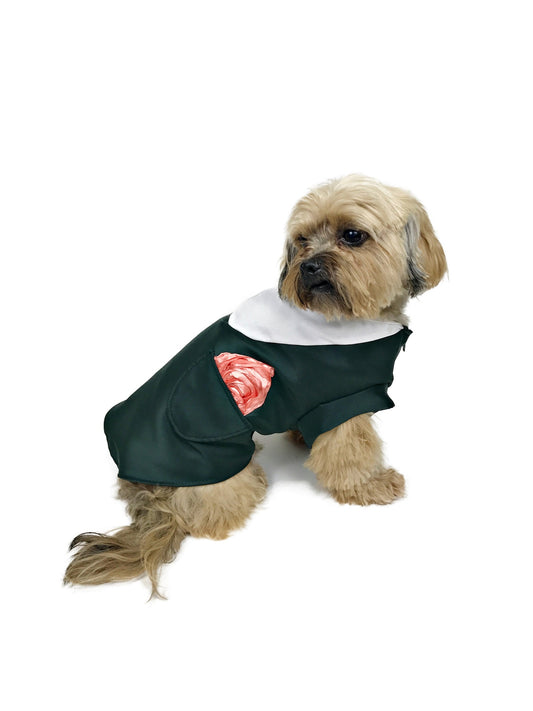 Small tan dog modeling Evergreen Elegance dark forest green shirt with white collar and coral-pink pocket accent