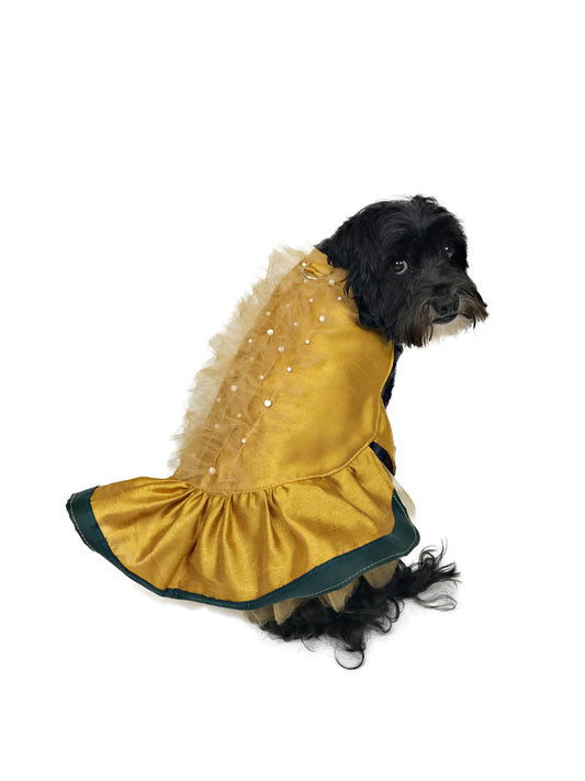 Black dog modeling Golden Era gold party dress with forest-green trim and decorative golden tulle ruffles with pearl-like dots