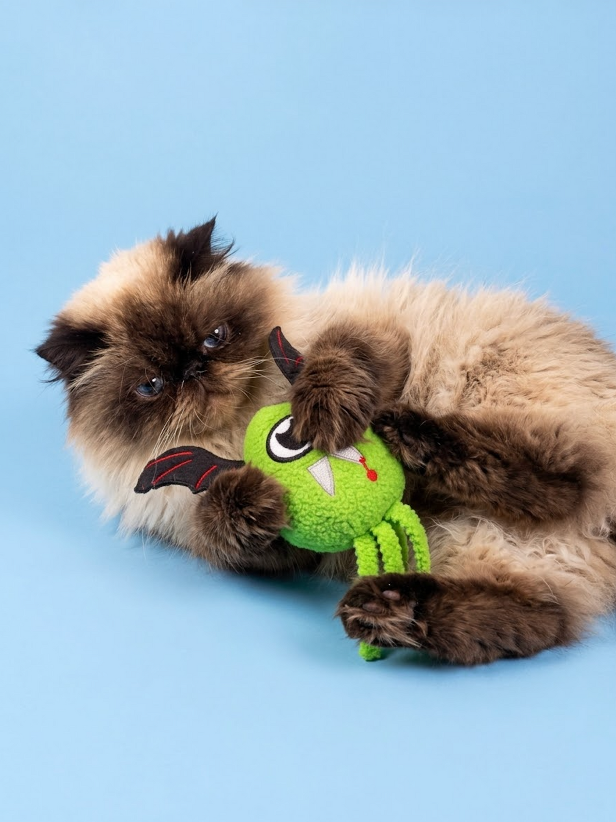 Fluffy cat playing with green vampire monster plush cat toy with black bat wings and red accents