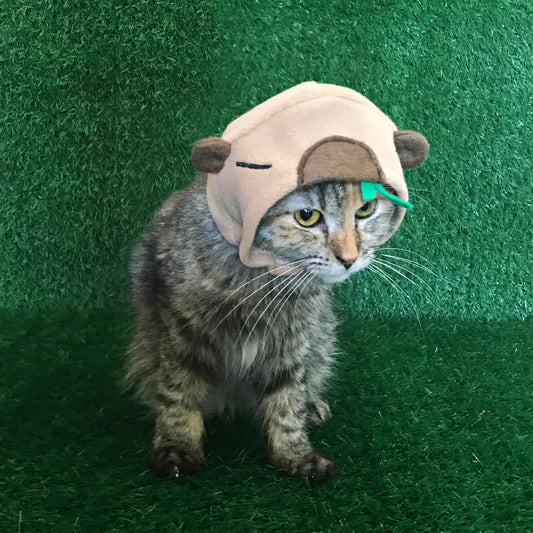 Tabby cat modeling a handmade tan capybara hood with brown ears and green sprout