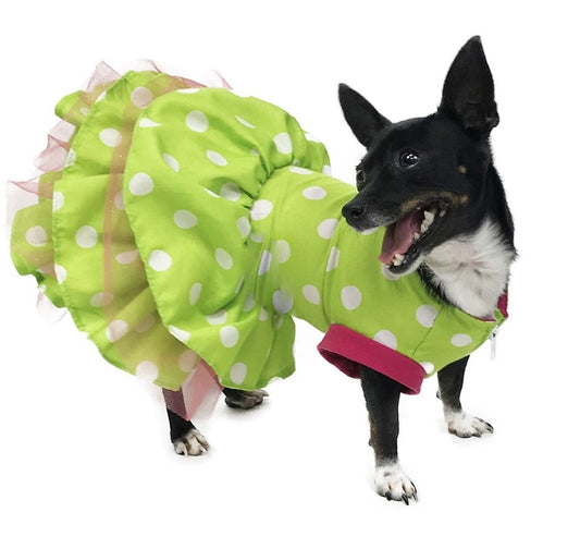 Dog wearing lime green white polka dot dress with bright pink trim and layered pink tulle ruffles; no visible garment tag