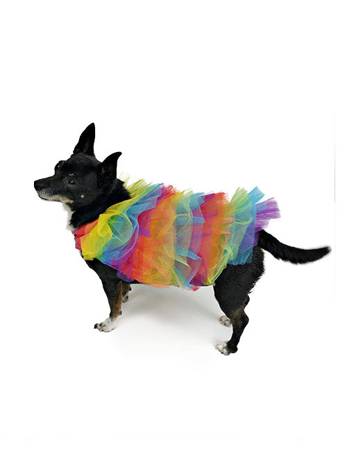 Black dog modeling voluminous rainbow-striped tulle Pride dress while standing