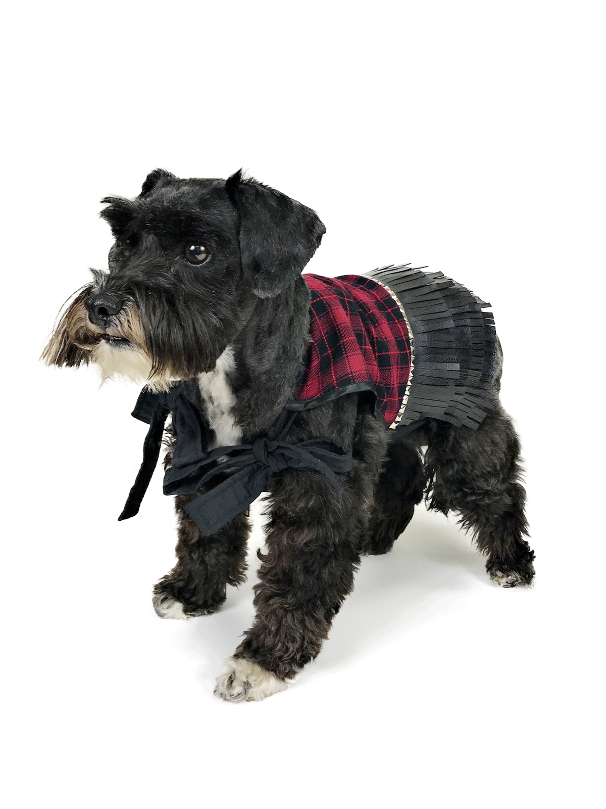 Standing black dog modeling Punk Vibes red and black plaid dress with dramatic fringe skirt and black front ties