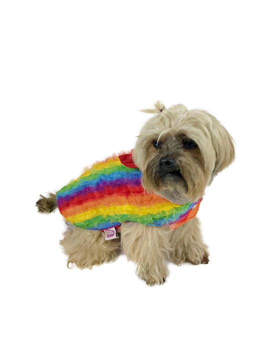 Tan dog wearing rainbow layered ruffle tulle tuxedo-inspired pet vest on white background