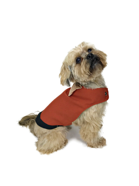 Tan fluffy dog modeling rust-red dog vest with black trim and cream bow on white background
