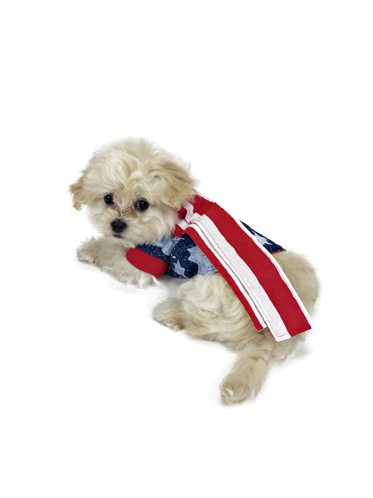 Cream fluffy dog wearing a patriotic handmade dog shirt showing red-and-white striped cape on the back