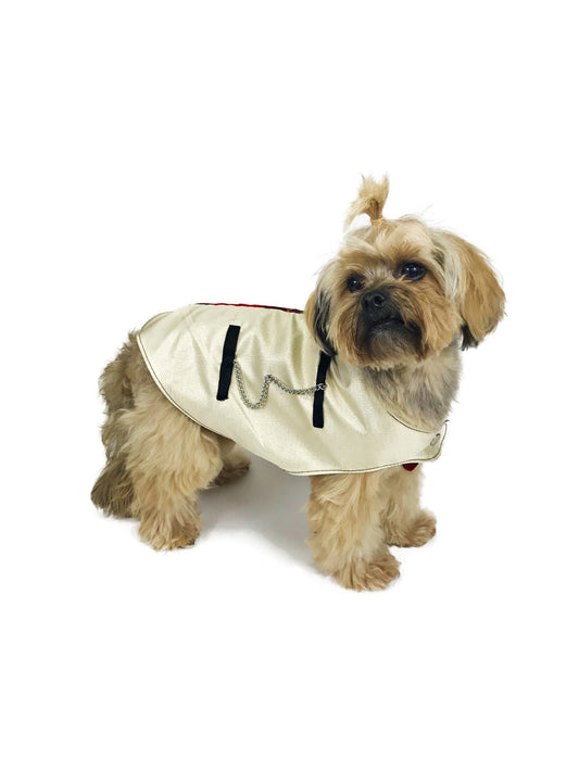 Tan fluffy small dog showing ivory side of Tartan Couture dog vest with decorative silver-tone chain and black trim