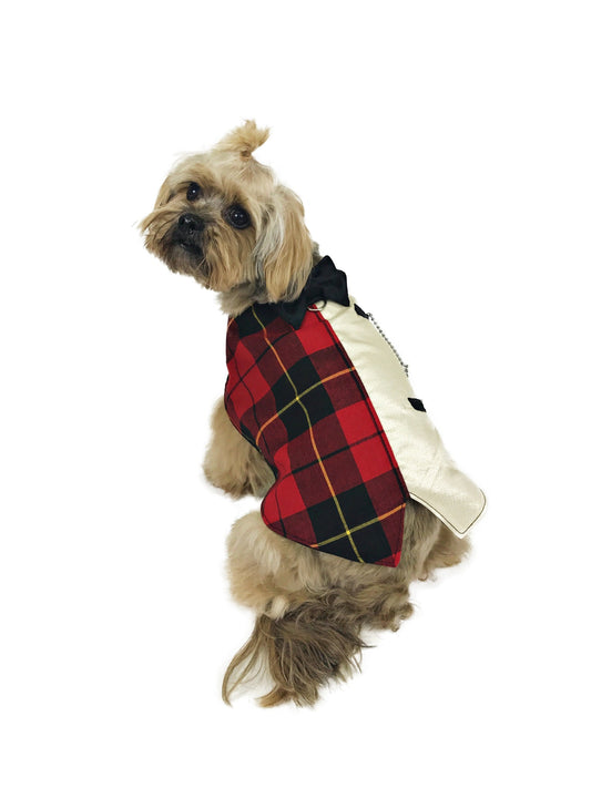 Small tan dog modeling red and black tartan couture dog vest with contrasting ivory panel and formal black bow