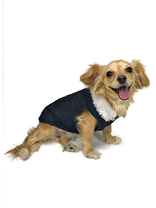 Dog Denim Jacket * Paw Springs Pet Boutique